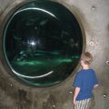 img_2329