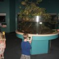 img_2335