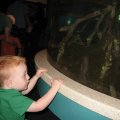 img_2336