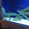 img_2339