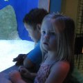 img_2340