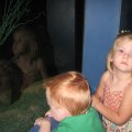 img_2352