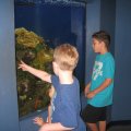 img_2353